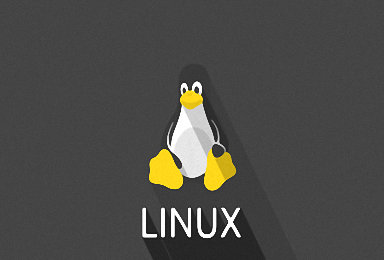 把手机变成可挂载的低耗能Linux服务器